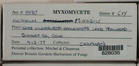 Image Associated With the Occurence